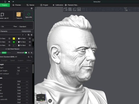 Ricardo Iorio 3D Printable Bust 3D Print Model