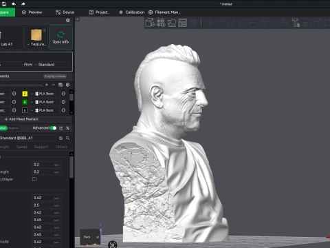 Ricardo Iorio 3D Printable Bust 3D Print Model