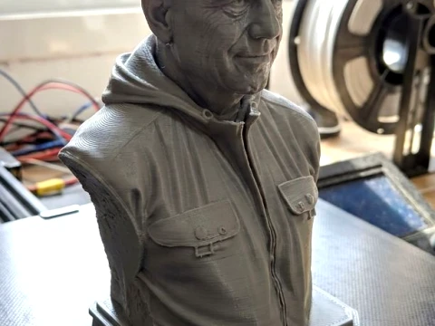 Ricardo Iorio 3D Printable Bust 3D Print Model