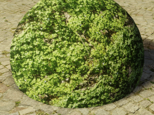 ground meadow-leaves 3 CG Textures