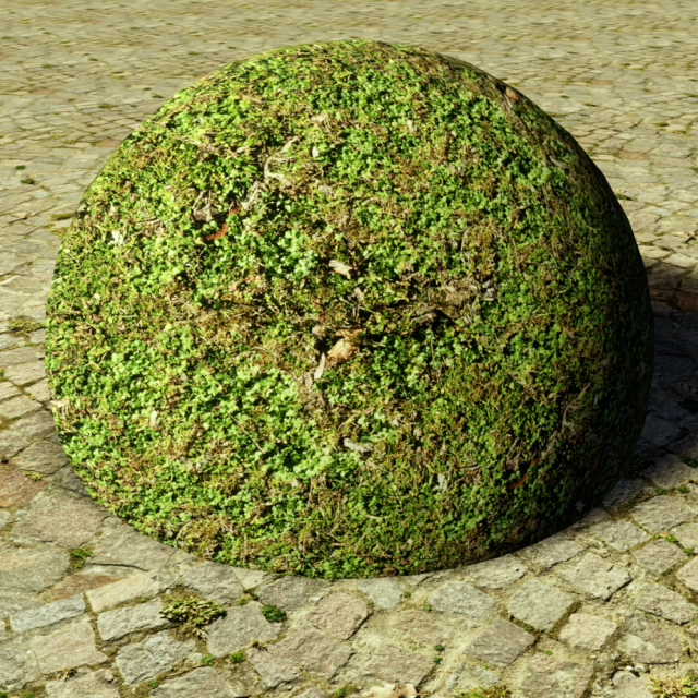 ground meadow-leaves 5 CG टेक्स्चर्स .c4d .max .obj .3ds .fbx .stl .blend 