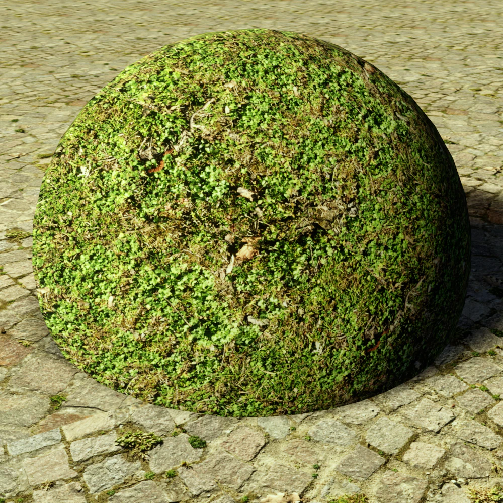ground meadow-leaves 5 CG Textures .c4d .max .obj .3ds .fbx .stl .blend 