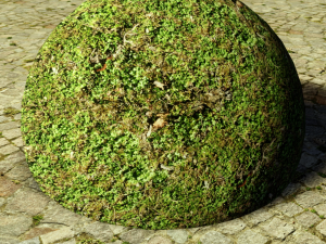 ground meadow-leaves 5 CG Textures