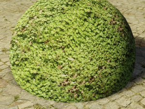 ground meadow-leaves 1 CG Textures