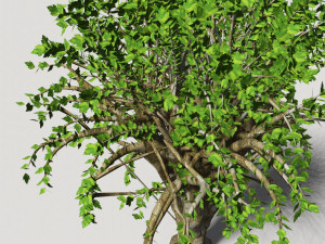 tree 01 3D Модель