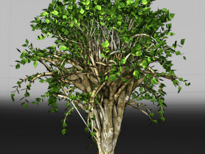 tree 01 3D Модель