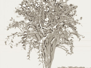 tree 01 3D Модель
