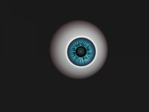 eyeball 3D Model