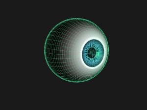 eyeball 3D Model
