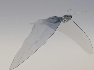 алмазная бабочка 3D Модель