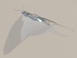 diamond butterfly 3D 모델