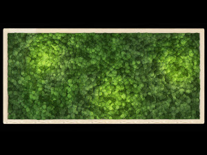 moss wall 3D 모델
