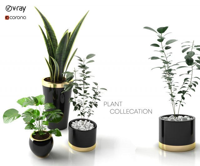 plant collectionset 01 3D Model .c4d .max .obj .3ds .fbx .stl .blend