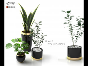 plant collectionset 01 3D Model