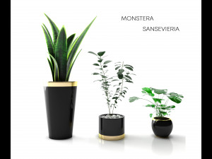 plant collectionset 01 3D Model