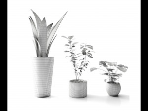 plant collectionset 01 3D Model