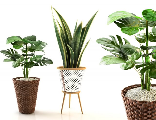 plant collection 02 3Dモデル .c4d .max .obj .3ds .fbx .stl .blend 