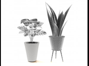 plant collection 02 3Dモデル