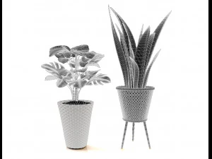 plant collection 02 3D Model