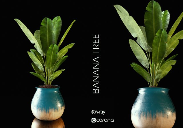 banana tree 3D Model .c4d .max .obj .3ds .fbx .stl .blend