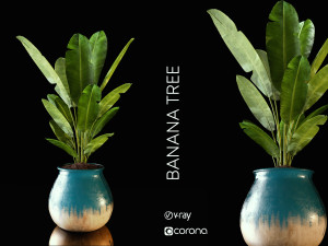 banana tree 3D 모델