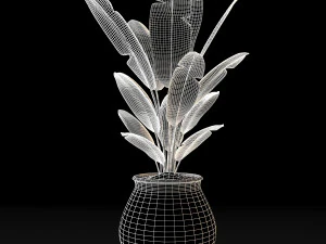 pohon pisang Model 3D