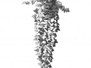 hedera h&eacute;lice Modelo 3D