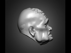 zombie heads 3Dプリントモデル