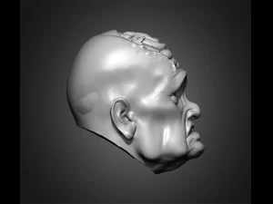 zombie heads 3D Print Model