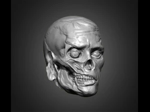 zombie heads 3D Print Model