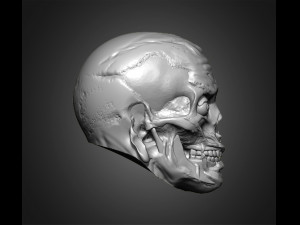 zombie heads 3Dプリントモデル
