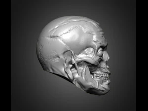zombie heads 3D Print Model