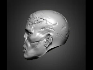 zombie heads 3D Print Model