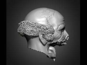 zombie heads 3Dプリントモデル
