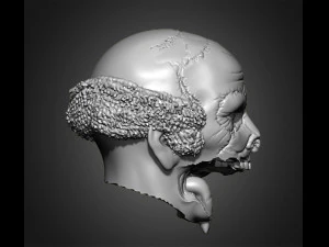 zombie heads 3D Print Model