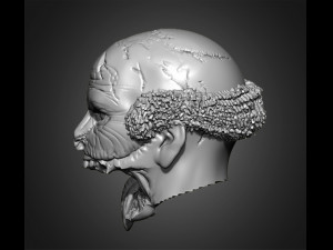 zombie heads 3Dプリントモデル