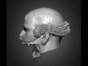 zombie heads 3D Print Model