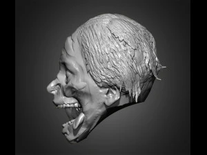 zombie heads 3D Print Model