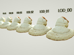 forest mushroom - polypore - ganoderma 3d 3D Модель