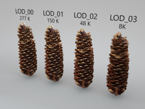 spruce cob - photo scan Model 3D