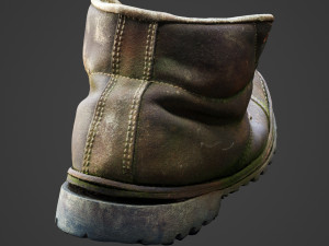 old boot with plants inside 3D Model