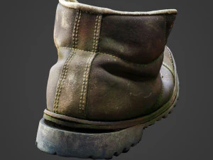 old boot with plants inside 3D Model