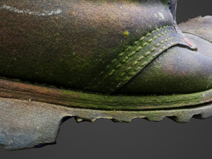 old boot with plants inside 3D Model