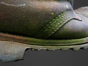 old boot with plants inside 3D Model