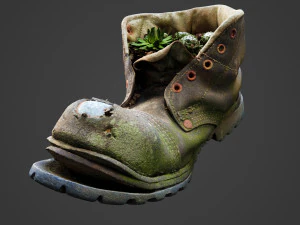 old boot with plants inside 3D Model
