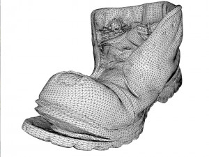 old boot with plants inside 3D Model