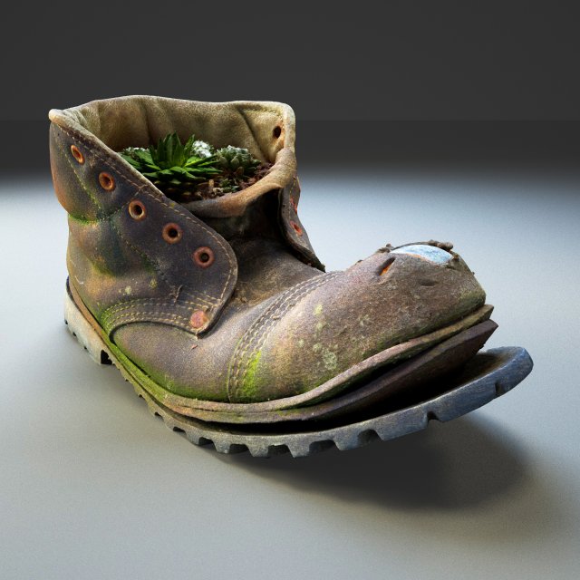 old boot with plants inside 3D Model .c4d .max .obj .3ds .fbx .stl .blend 