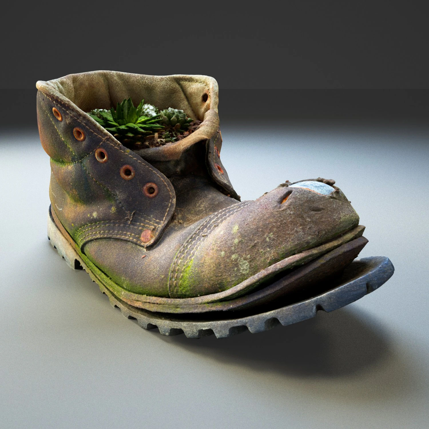 old boot with plants inside 3D Model .c4d .max .obj .3ds .fbx .stl .blend 
