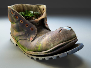 old boot with plants inside 3D Model