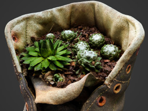 old boot with plants inside 3D Model